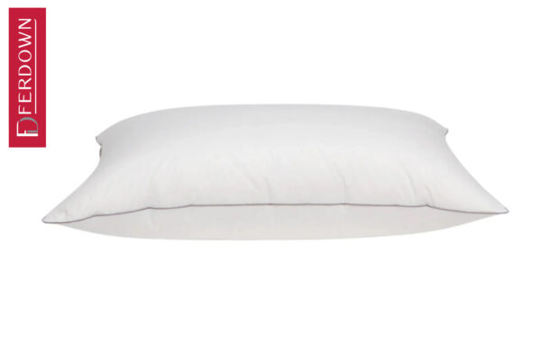 Oreiller Platinium